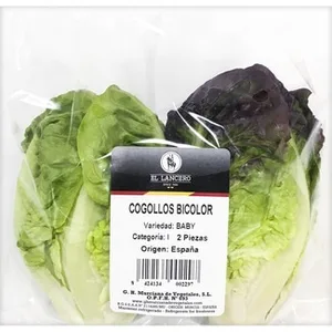 Cogollos Bicolor Baby el Lancero
