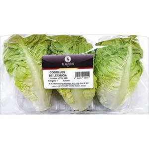 Cogollos de Lechuga  el Lancero 300 G