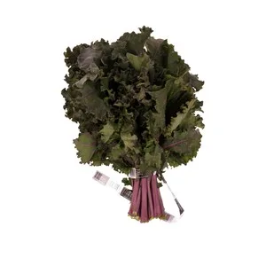 Col Kale, Manojo de 300 G. Aprox.
