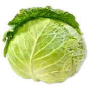 BonArea