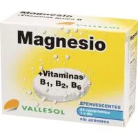 Complemento Magnesio+vitaminas B Vallesol, Caja 24 Comprimidos