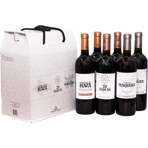 Condado de Haza, Pesquera y 20 Aldeas Vino Tinto DO Ribera del Duero Estuche 6 Contiene 2 Botellas de Cada Marca Familia Fernandez Rivera