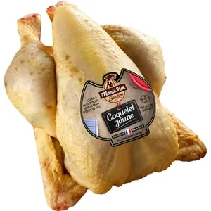 Coquelet Criado en Libertad Label Rouge en las Landas Peso Aproximado  Sertina 550 G