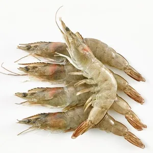 Langostino Crudo 40-60 Piezas/kg