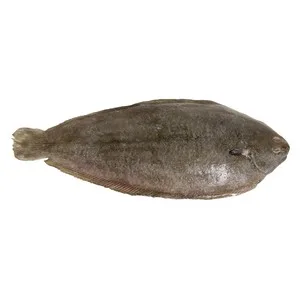 Lenguado Cultivo Mostrador - Entero 450 G