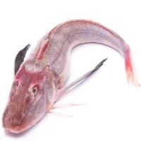 Rubio de País Vasco, Pieza al Peso Aprox. 1 Kg