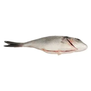 Alcampo Cultivamos LO Bueno Dorada de Estero Mediana - Entera Limpia 600 G
