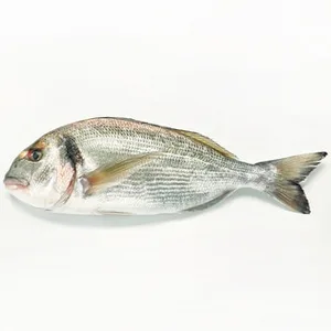 Dorada de Estero Peso Aproximado 800 G