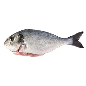 Dorada Limpia con Cabeza 0.48 KG