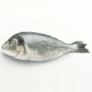 Dorada Nacional de Crianza ASC Peso Aproximado