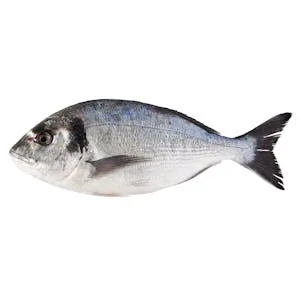 Dorada sin Limpiar 0.48 KG