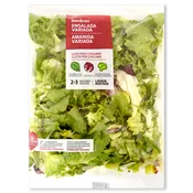 Ensalada Variada