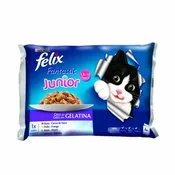 Felix Junior Gelatina