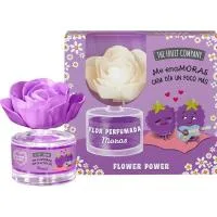Flor Difusora Mora THE Fruit Company, Caja 1 Ud