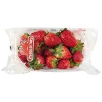 Fresa, Bandeja 500 G