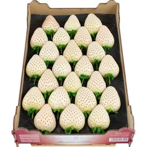 Fresa Blanca 600 G