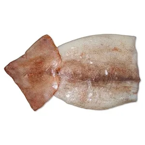 Pota Fresca Mostrador. - Entera Limpia 300 G