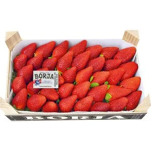 Fresón Selección 1 Kg
