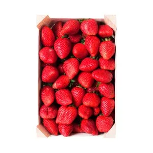 Fresón, Tarrina 1 Kg. 1000 G