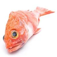 Gallineta, Pieza al Peso Aprox. 400 G