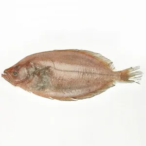 Gallo para Filetes Peso Aproximado 1.2 KG