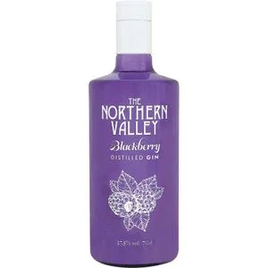 Ginebra Blackberry 0,7 L