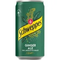 Ginger Schweppes, Lata 25 Cl