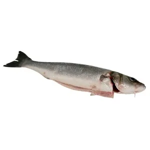 Dorada Grande Mostrador - Entera Limpia 750 G