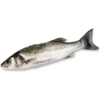 Lubina Grande, Pieza al Peso Aprox. 1 Kg