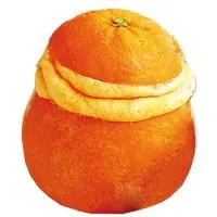 Helado Sabor Naranja en Su Cáscara Nordwik, 1 Ud, 90 G