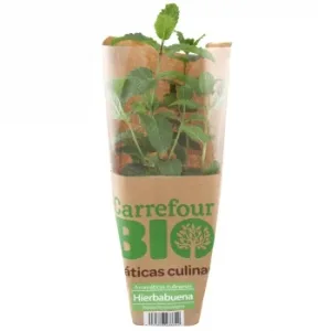 Carrefour