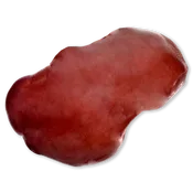 BonArea