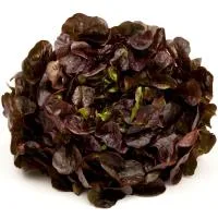 Eroski