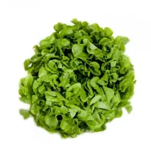 Hoja de Roble Verde Verduras Curro 200 G Aprox