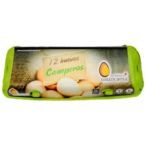 Alcampo