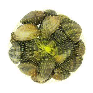 Almeja Japónica 80/110 Malla 500 Gr