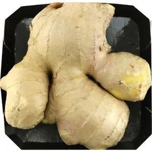 Jengibre Peso Aproximado 300 G
