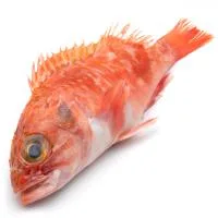 Kabra del País Vasco, al Peso, Compra Mínima 1 Kg