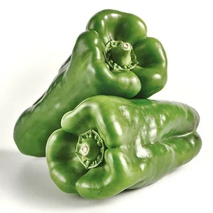 Pimiento Lamuyo Verde Gordo (peso Aproximado de la Unidad 300 G)