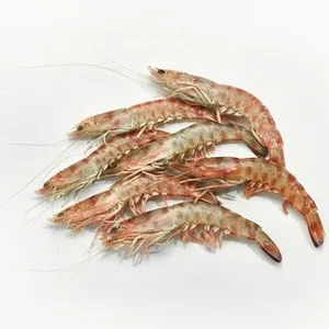 Langostino Tigre 30-40 Pzas/kg