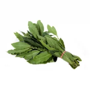 Laurel Manojo de 100 G