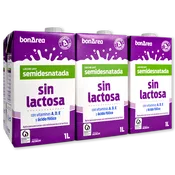 Leche sin Lactosa Semidesnatada Paq. de 6 Brics
