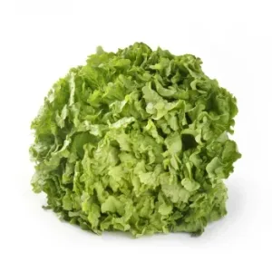 Lechuga Batavia Verde 1 Ud