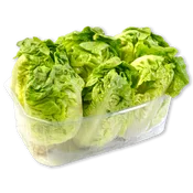 BonArea