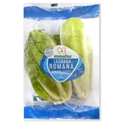 BonArea