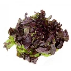 Lechuga Hoja de Roble Roja 250 G Aprox