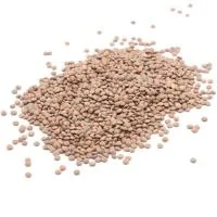 Lenteja Pardina, al Peso, Compra Mínima 500 G