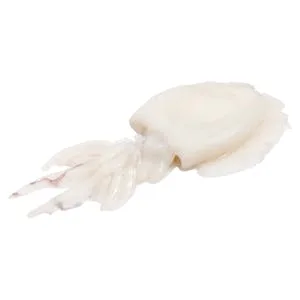 Sepia Limpia 0.4 KG