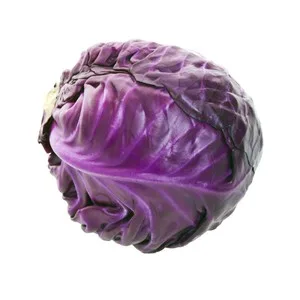 Lombarda 1500 G