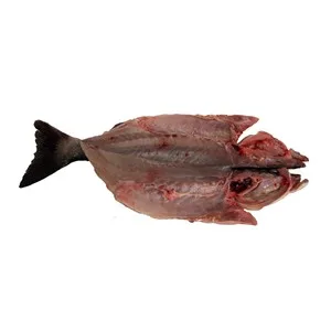 Alcampo Cultivamos LO Bueno Lubina de Estero Mediana - Espalda con Espinas 750 G
